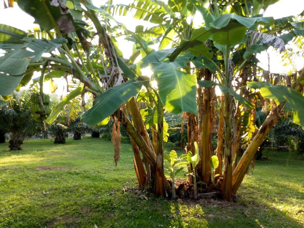 Baan Reenaa Lanta Koh Lanta Luaran gambar